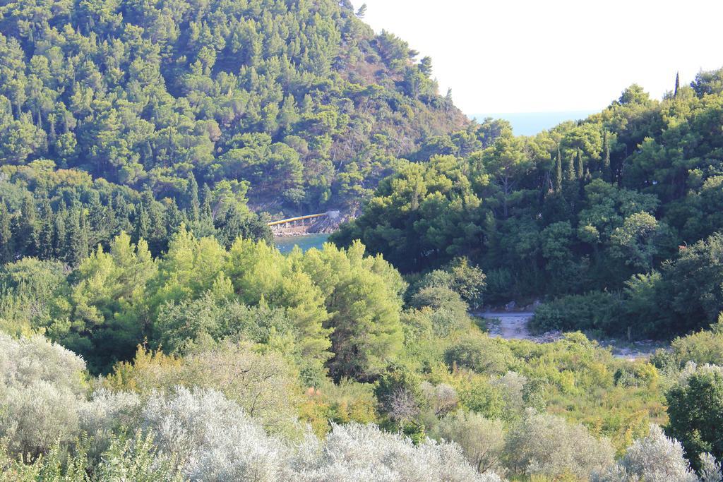 4M Apartments Petrovac Cameră foto